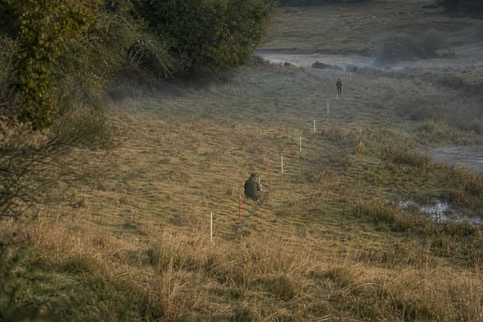 Ligne de jalons de topographe plantes en enfilade a travers une prairie humide, deux operateurs eloignes travaillant le long du transect.